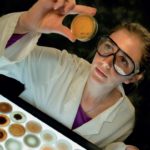 Scientist examining samples in a laboratory